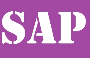 It’s all about SAP here at Wilde Associates at the moment!